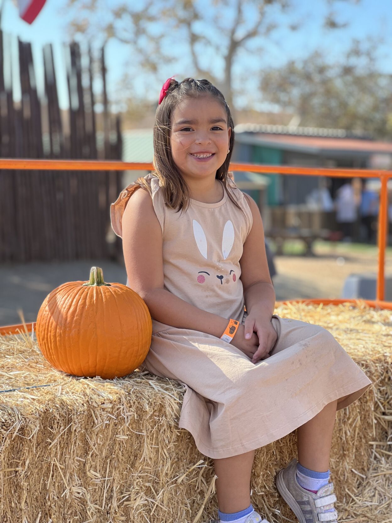 Picking Pumpkins 2022